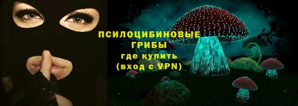 СК Аркадак