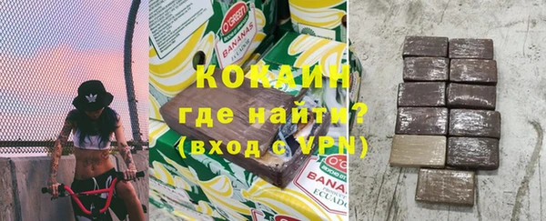 дживик Арсеньев