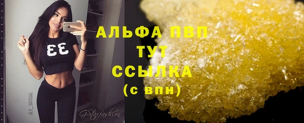 дживик Арсеньев