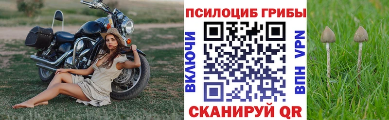 Псилоцибиновые грибы Cubensis  Купить  Саяногорск 